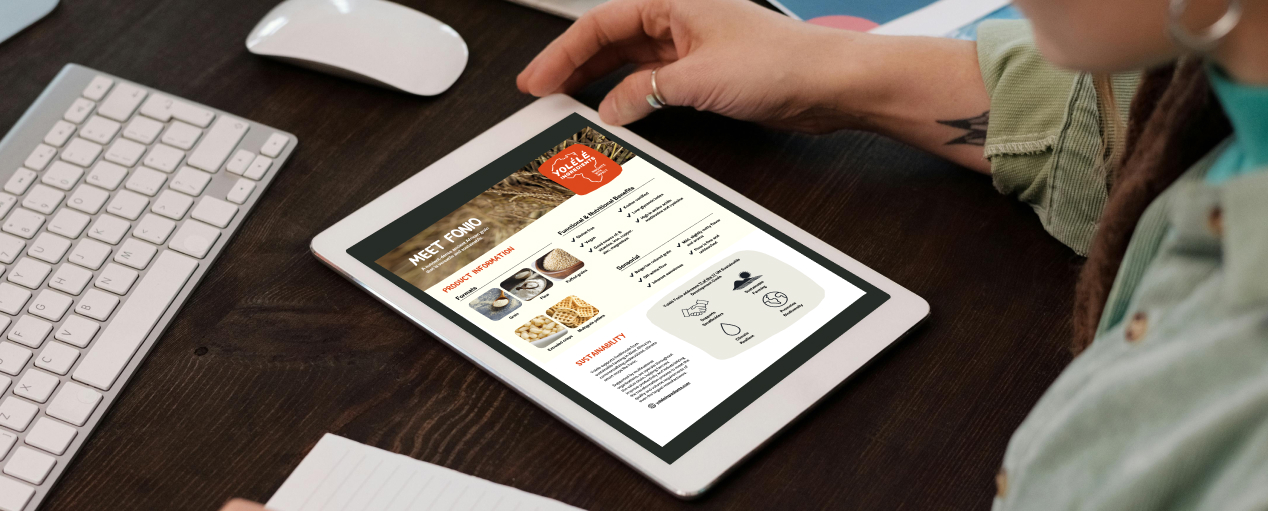 Establishing a B2B go-to-market strategy